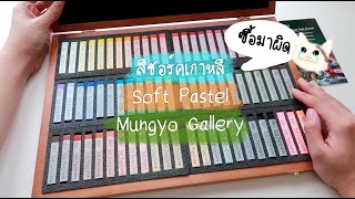 สีชอร์คเกาหลี Soft Pastel : Mungyo Gallery screenshot 4
