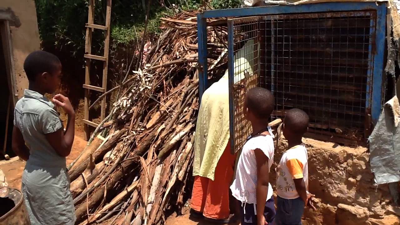 Mata rearing rabbits - YouTube