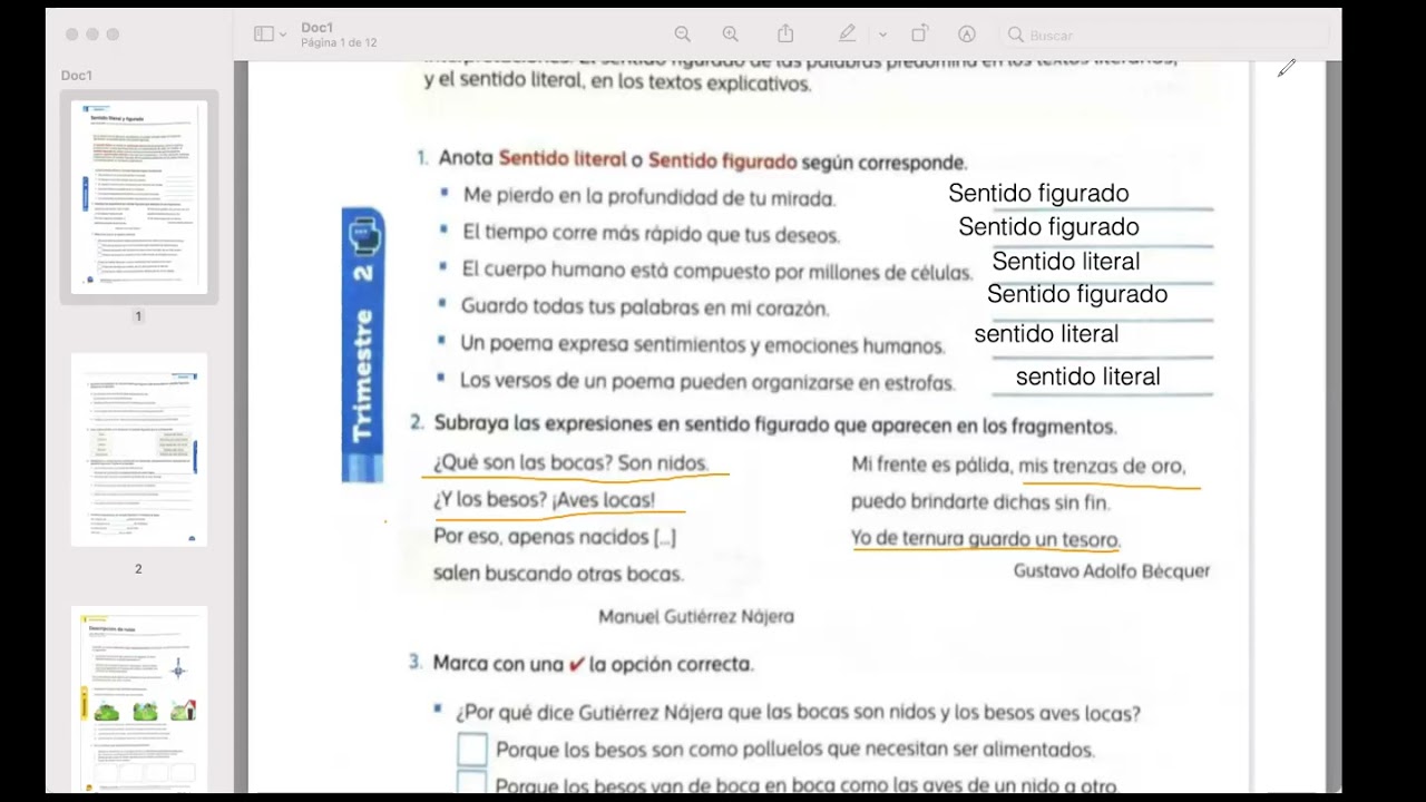 Sentido literal y figurado - YouTube
