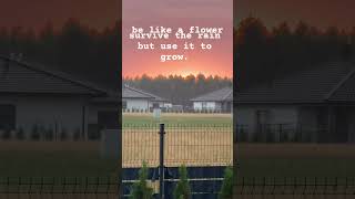 Rain is so calm #rain #lofi #motivation #theothersideofmakebelieve