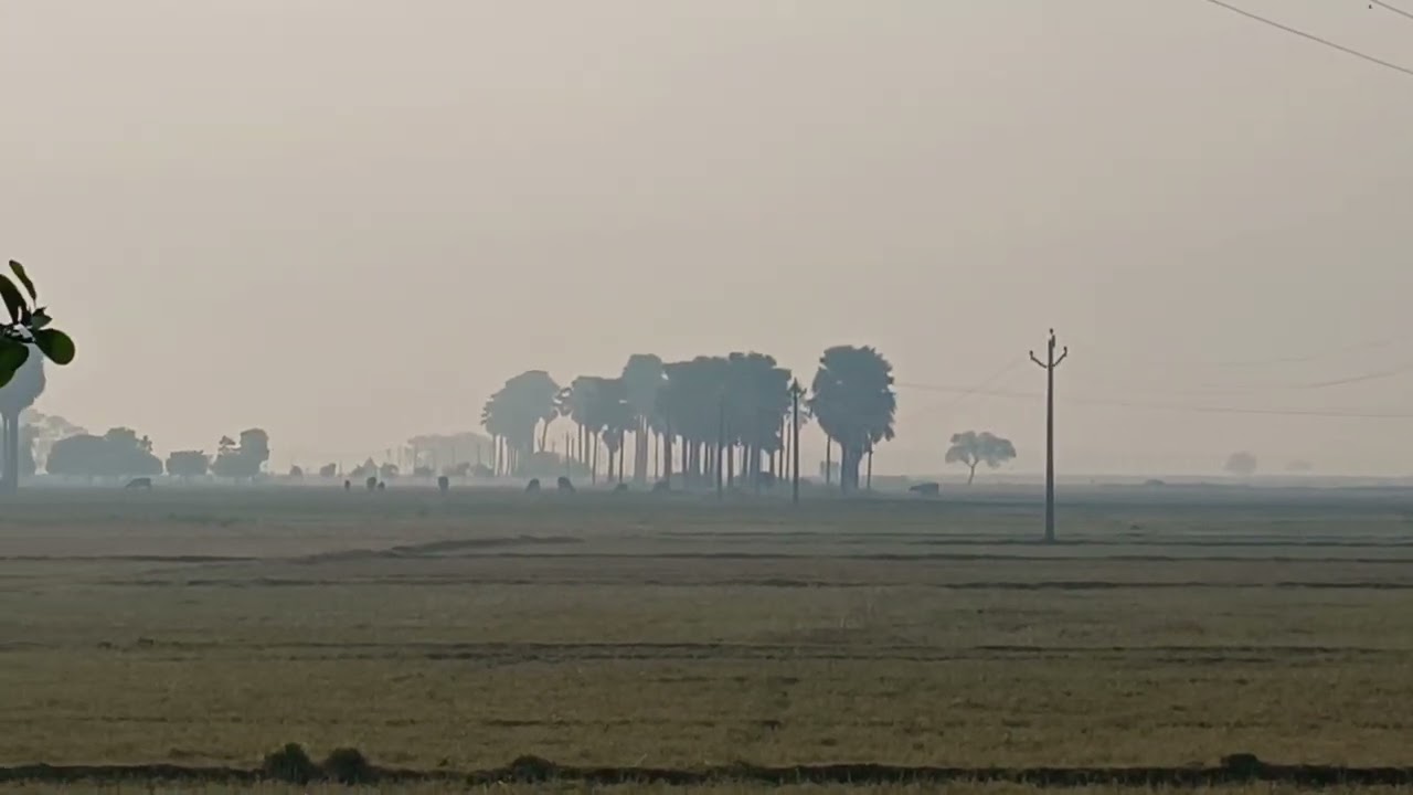 The Beautiful😍 Tour of village (chhapra) #vlog #1treanding #fun #chhapra #cprvlog #bihar #village