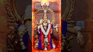 ponmayil vadum manikanta #sabarimala #sri #ayyappa #swamy #viral #video #reels