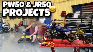JR50 & PW50 Projects | Yamaha PW50 Suzuki JR50
