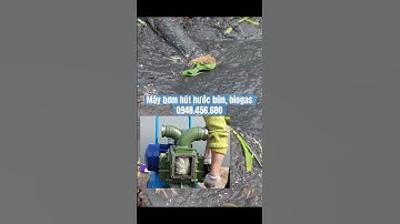 Máy bơm không tắc rác: bơm hút bùn đặc ao hồ, bơm bể biogas L/H Zalo 0948.456.680 #music #edms
