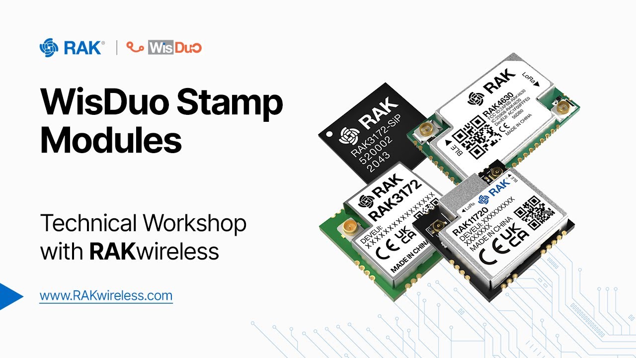 RAKwireless WisDuo Modules Explained: AT Commands, RUI3 API & Hardware Integration Made Simple