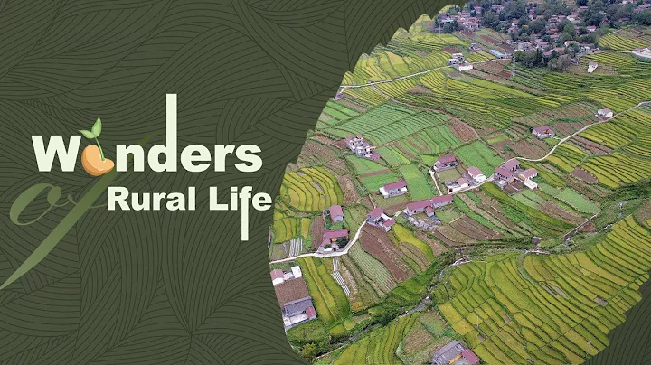 Live: Remarkable scenery after Sichuan's Xide County removed its 'hats of poverty' – Ep. 2