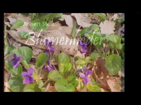 Robert Stolz, 20 Blumenlieder - Veilchen (Violets, La violette)