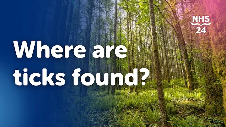 Where are ticks found?