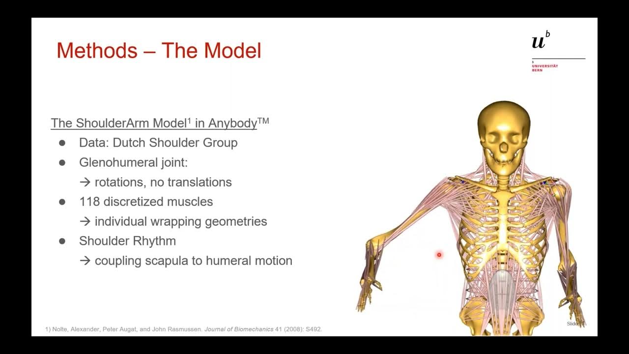 Biomechanical Evaluation of Diagnostic Tests for Rotator Cuff Lesions