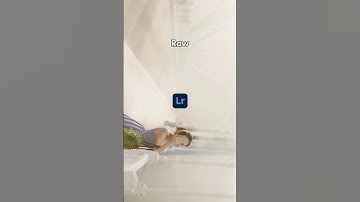 The Power Of Color Grading- Lightroom Editing  #colorgrading    #lightroom #lr