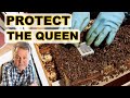 Beekeeping | 2 Simple Ways To Protect Your Queen