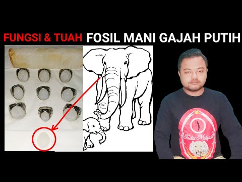 Video penjelasan tentang ciri-ciri kristal mani gajah asli atau palsu dan juga membahas tentang cara. 