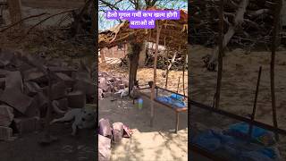 हैलो गूगल गर्मी कभ खत्म होगी बताओ तो #straydogs #animalcare #dogrescue #animalhelp #trending