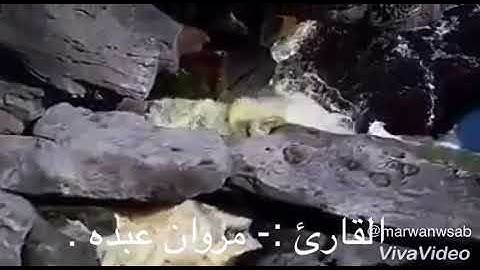 تلاوة للقارئ | مروان عبده