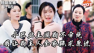 Multi |女頻熱播短劇🔥遛狗不牽繩，縱容惡犬咬傷我女兒！ 不知咬傷的是頂級豪門的小千金！ 我反手一個操作，讓狗主人全家跪求原諒！丨厚德载物丨狗血 复仇