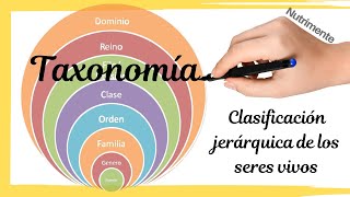 La CLASIFICACIÓN jerárquica de los seres vivos [TAXONOMÍA]