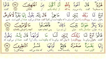 #سوره-بقره #آیه 69 - فقط یک آیه با ترجمه #ترجمه_تحت_اللفظی_قرآن_کریم