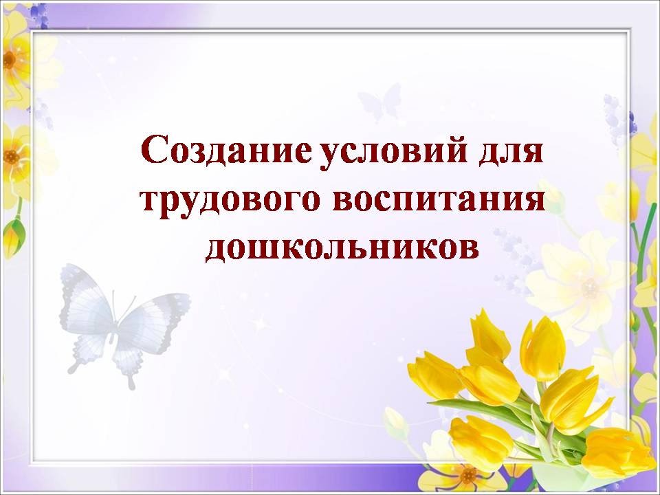 Создание условий для трудового воспитания дошкольников
