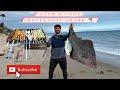 Catch and Cook Shovelnose SHARK!!! aka Guitarfish! Los Angeles Surf Fishing (Dons Adventures)