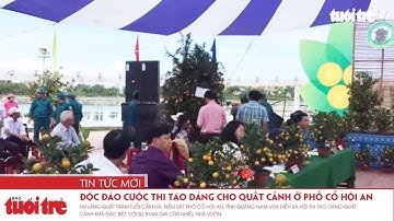 Độc đáo cuộc thi tạo dáng cho quất cảnh ở phố cổ Hội An