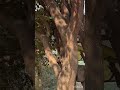 #cricket 🏏 ❤️