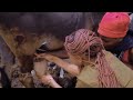 KOBA BOY AMERUDI FT KIELI SORRY KOBA BOY AMERUDI FT KIELI SORRY