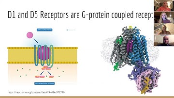 Dopamine receptors teaching guide