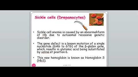 video lab 5  poikilocytosis part 1