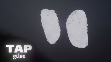 Random Interval Trigger | TAPgiles Daily Dreams Tutorial