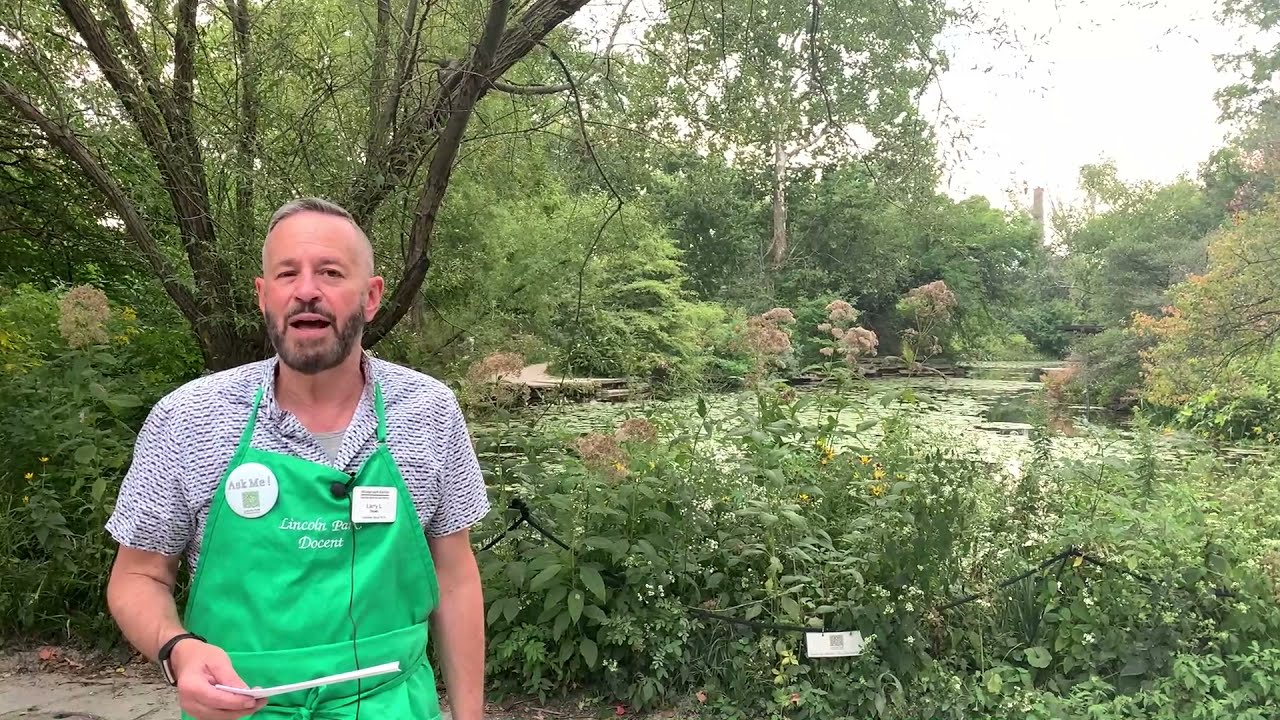 20th Anniversary of the Lily Pool Restoration Celebration