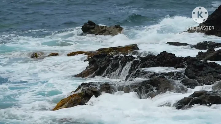 7 Hours of Relaxing Sleep Music • Soft Piano Music, Sleeping Music, Sweet Dreams, Waterwave Sound