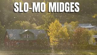 The Evening When The Summer Woke up in Iceland - Slow Motion Midges