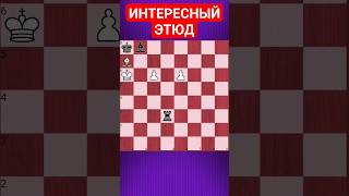 💥КАКОЙ-ТО ЭТЮД #chesspuzzle #шахматныезадачи #шахматы #chess