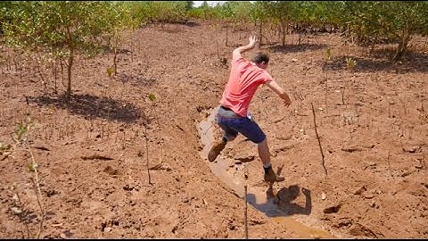 Pieter in Madagascar: How we plant thousands of Mangroves