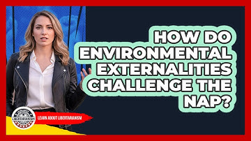 How Do Environmental Externalities Challenge The NAP?