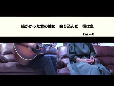 鱗(うろこ) / 秦基博 【cover・ギターコード付き】