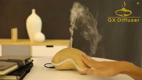 GX Cashew Essential Oil Diffuser