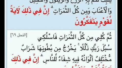 الشيخ حاتم فريد الواعر ما تيسر من سورة( النحل)