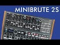 MiniBrute 2S Demo & Review!