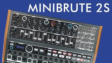 MiniBrute 2S Demo & Review!