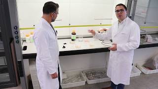 Demonstraties Veiligheid - Chemie - Hogeschool Rotterdam
