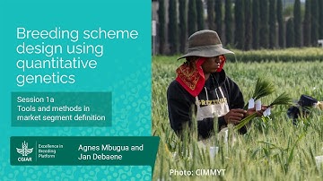 Session 1a (Tools and methods in market segment definition)