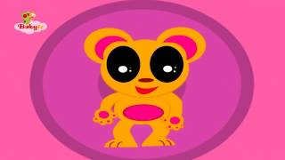 Planta Un Repollo - Babytv Español