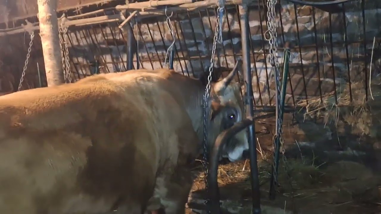 18 de febrero de 2026