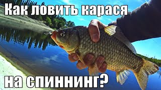 КАРАСЬ НА СПИННИНГ СЕКРЕТЫ УЛОВА ...