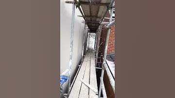 Stuart scott rendering mouse grey parex