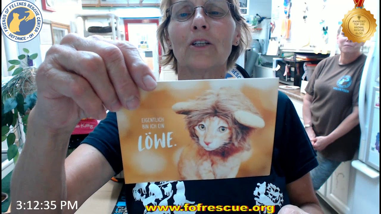 cage free vs organic eggs FFRC Boxes and Updates 08-06-2018