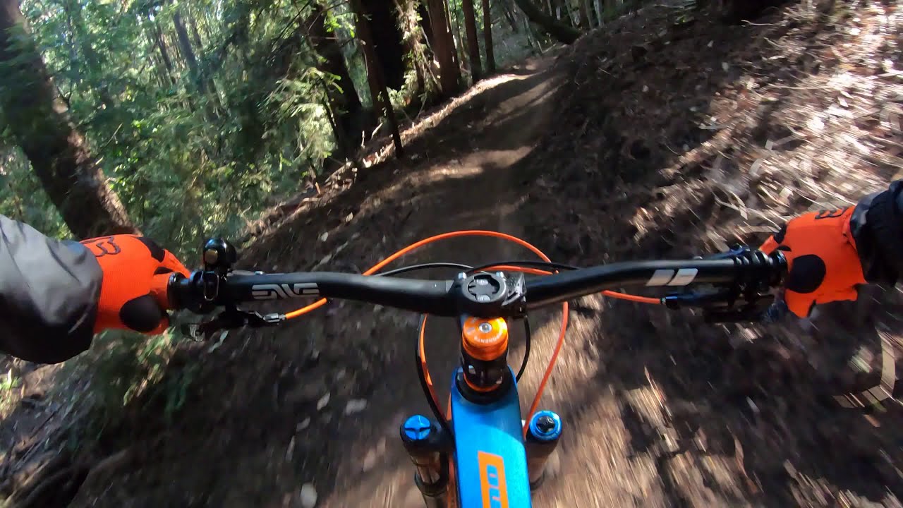 Soquel Demonstration Forest Santa Cruz, CA (Flow Trail) YouTube