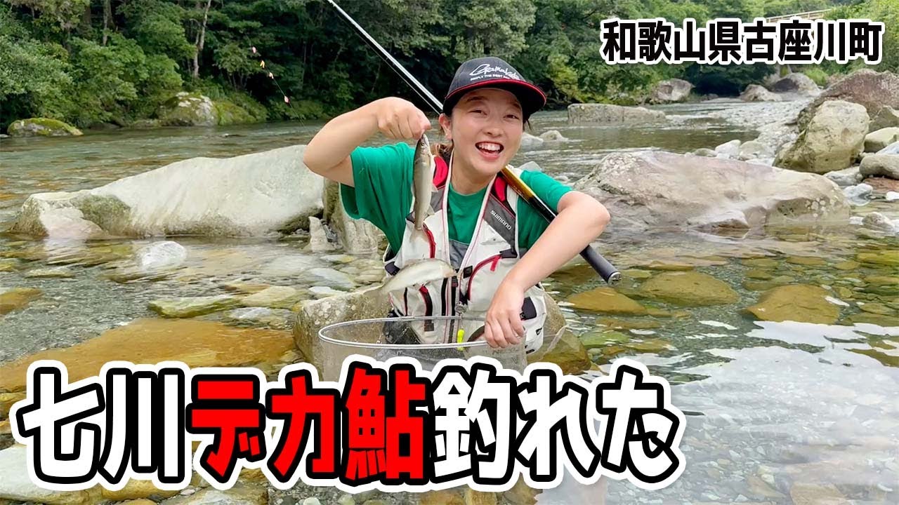 私の鮎シーズン2025開幕！清流七川でデカ鮎釣れました！（和歌山県古座川町・友釣り）