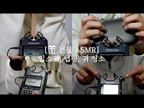 [🎁 선물 ASMR] 입소리ㅣ인조 손톱으로 탭핑ㅣ쇠 귀이개 귀 청소ㅣ핀 마이크 귀 청소